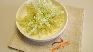 Компот из цветков бузины