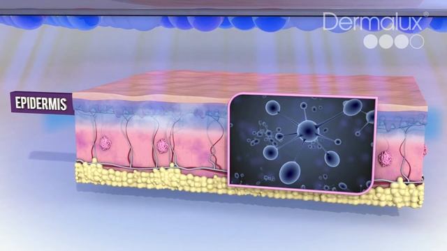 Dermalux LED - How does LED Phototherapy work?