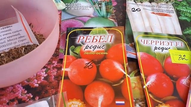 Редька, дайкон, редпа .....Пора сеять.