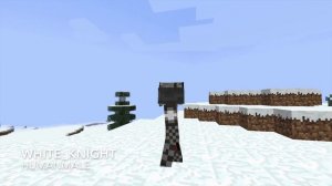 All NPC Skins from Minecraft Custom NPCs Mod