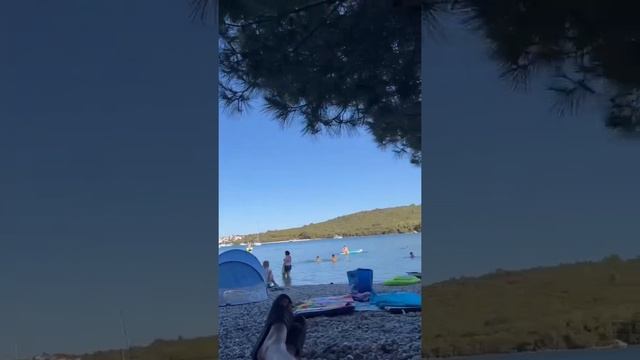 Пальтана пляж бухта Баньоле в близи города Пула. Paltana Beach ! Супер для малышей !