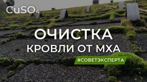 Мох на крыше. Как избавиться навсегда?
