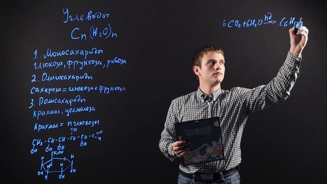 ХИМИЯ 10 класс: Углеводы