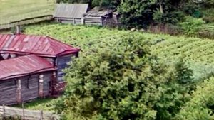 Цветные_фотографии_России_1890_1913_года_