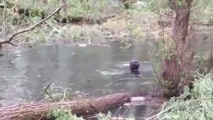 рыбалка в Приднестровье
