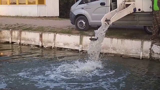 рыбалка рыбалка в подмосковье карп ловля карпа суперкарп белеутово karp fishing(4) смотреть онлайн