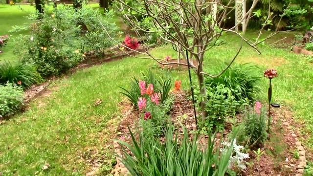 Готовлю креветки разными способами. смотреть онлайн