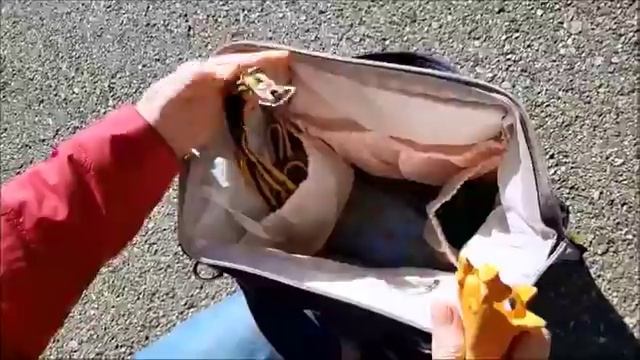 Специальный РЮКЗАК для поездок, прогулок с собаками и участия в выставках. смотреть онлайн