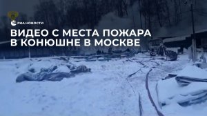Видео с места пожара в конюшне в Москве