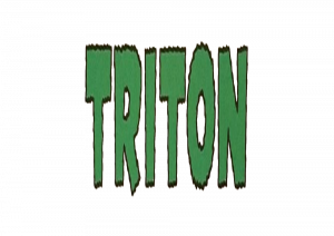 Triton Biography