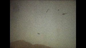 В ГОРАХ И В ПУСТЫНЕ  Гр."Контраст" Пули -Хумри, 1987г.