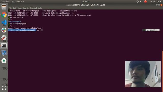Tutorial MongoDB Bahasa Indonesia #7 - Backup & Restore смотреть онлайн