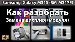 Samsung  Galaxy M31S (SM-M317F) - Полный разбор устройства и Замена дисплея
