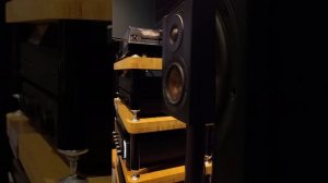 DALI VS MONITOR AUDIO | OPTICON 1 MK2 | ADELE - HE WON'T GO