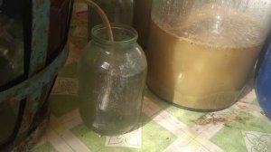 процесс брожения сухого вина 2020 год