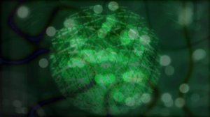 Филипп Август - Дорога (Официальная премьера трека)