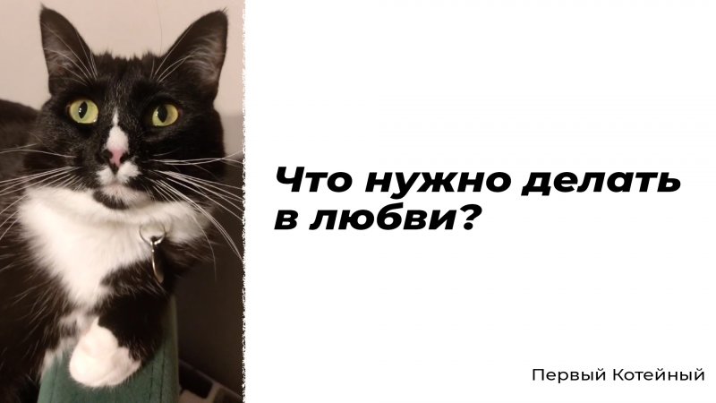 Что нужно делать в любви? ?