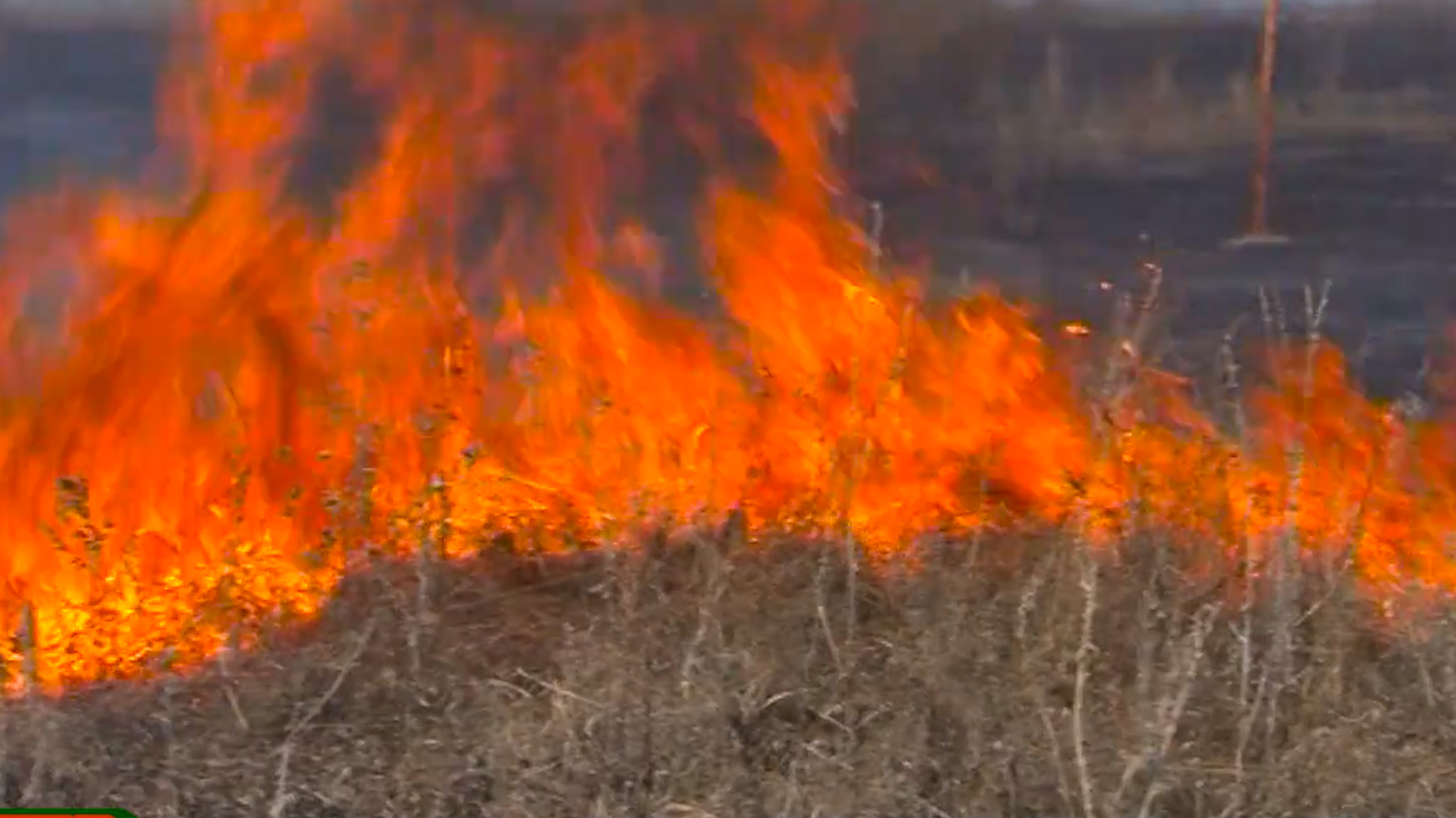Пожароопасный период 2024 янао. Пожароопасный период 2024 тюменская. Пожар в лесу близко. Пожароопасный период 2024 тюменская. Пожароопасный период 2024 тюменская.
