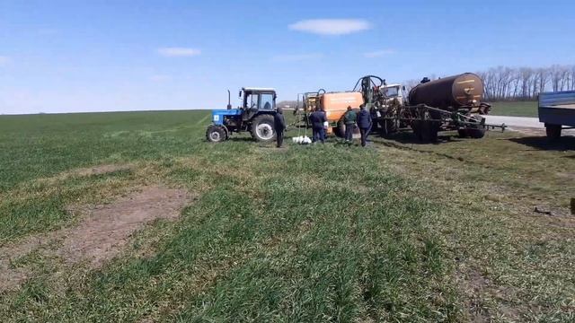 Топсин М, КС закладка опыта на озимой пшенице смотреть онлайн