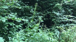 Сдавали комнату вахтовикам, а этот мужчина особенно запомнился. Жизненные истории. Аудио рассказы.