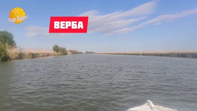 Вилково рай на Земле! на Автодоме с Nomi Malone #ПоехалисНоми майские 2021
