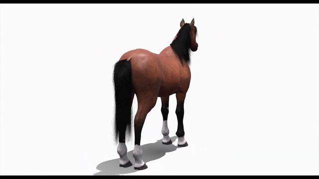 Brown Horse 3D Model for download