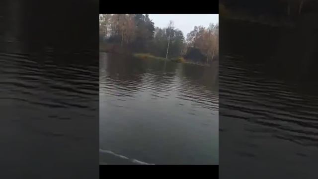 Sea Pro 2.5 и лодка Флагман смотреть онлайн