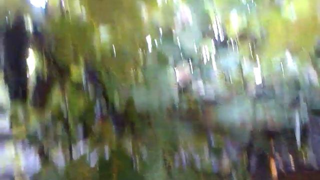 Виноград Одесса. смотреть онлайн