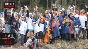 В Богородском округе прошла акция "Наш лес"