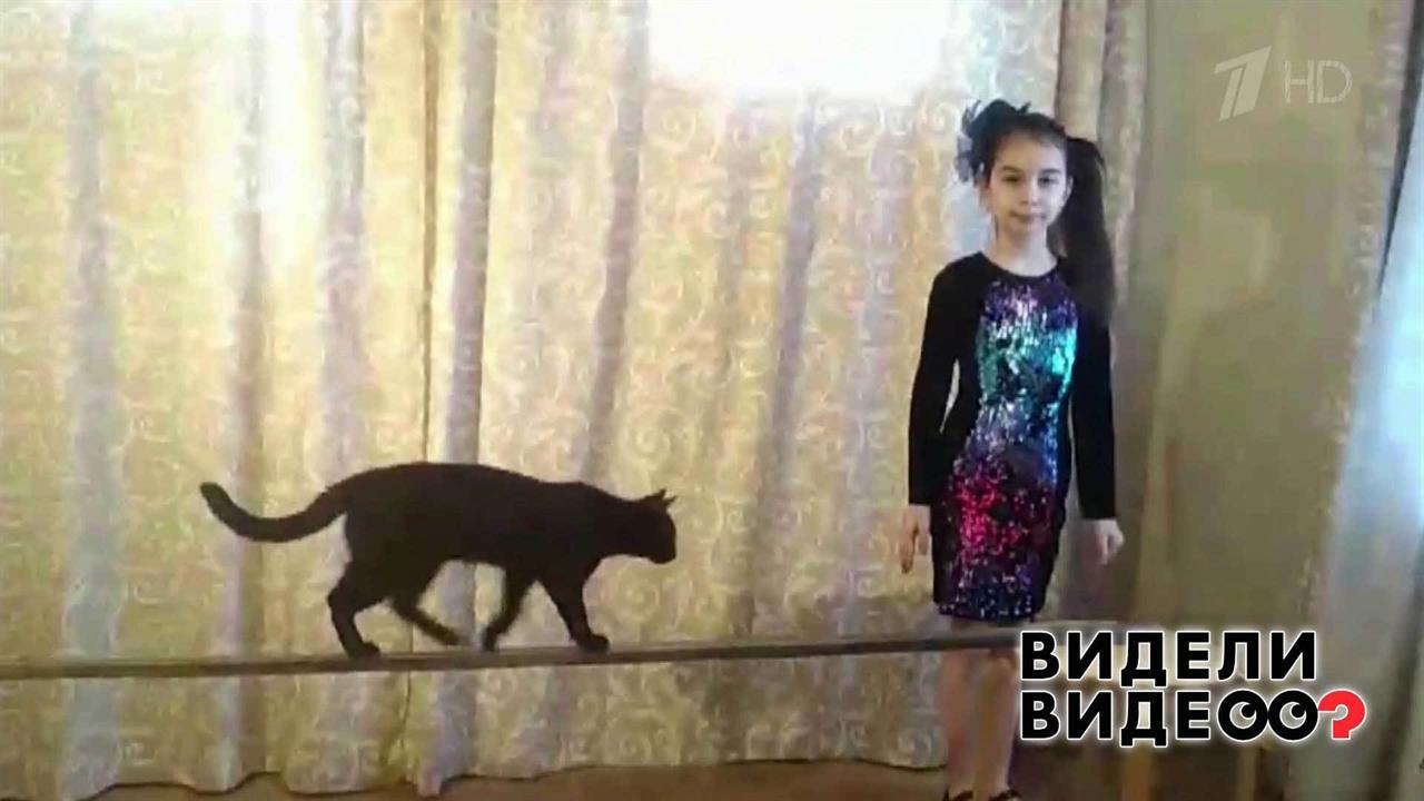 Почти пантера. Видели видео? Фрагмент выпуска от 11.10.2020