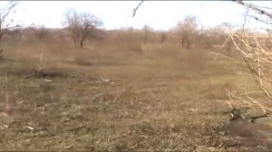 охота с псп