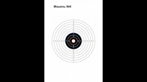 Соревнование  по стрельба из пневматического оружия Батл ППП пистолет  винтовка