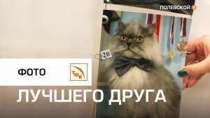 Фотовыставка домашних питомцев