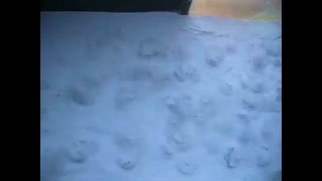 Газопламенное напыление порошковой краски. 2 этап - Псевдожижжение  порошковой краски Ротопол 2764