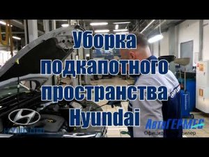 Уборка подкапотного пространства Hyundai || АвтоГЕРМЕС