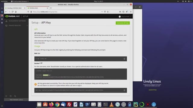 How to run NVIDIA NGC containers on Ubuntu 21.04 bootable Live USB. Lively Linux. смотреть онлайн