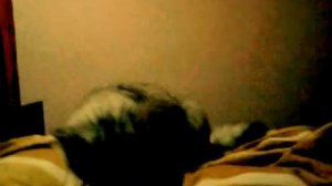 Кот мучает одеяло