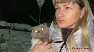 ВЫПАДАЕТ ШЕРСТЬ У КОШКИ /ЛЕЧЕНИЕ