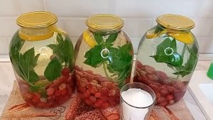 Компот из крыжовника с лимоном и мятой МАХИТО