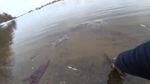 Зимний спиннинг на Москве реке. Ловля щуки на китайский воблер зимой.Рыбалка2022