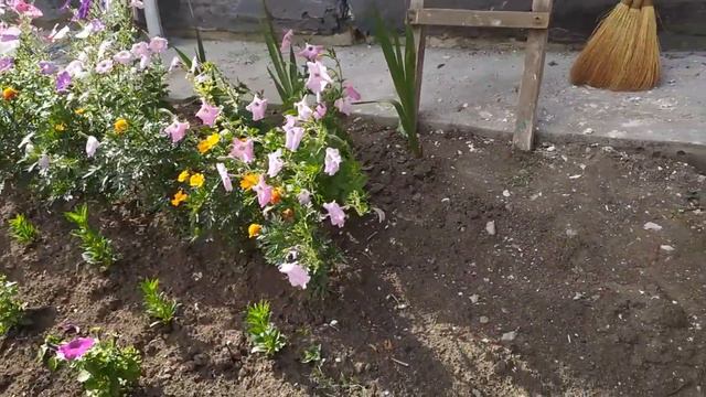 СОЛНЕЧНЫЙ ДЕНЬ НА ДАЧЕ. СОСЕДИ смотреть онлайн