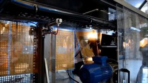 Машина для упаковки овощей в полиэтиеновые пакеты F2