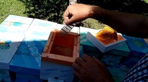 Мои нуклеусы из ППС(пеноплекса) отработали два сезона.