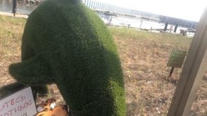 Краснодарский край. Ольгинка 21.08.2023. Обзор. Цены. Пляж