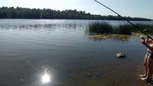 Рыбалка с сыном на реке Луга. Рыбалка в Ленинградской области.Рыбалка СПб
