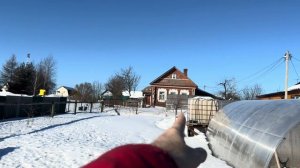 Размеры домиков для уток, как выбрать утят и уток