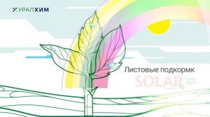 Уралхим. Минеральное удобрение NPK. 2019