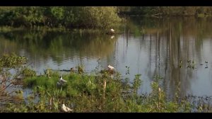 Кировский район