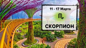 СКОРПИОН ♏ 11 - 17 Марта 2024 | Расклад таро на неделю для знака Зодиака Скорпион