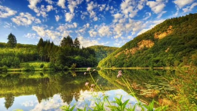 Лошадки. смотреть онлайн